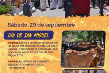 Programa de fiestas de San Miguel 2018 (Foto TA)